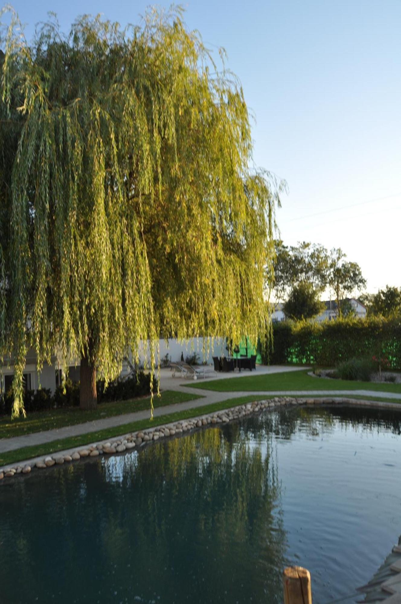 Kirchers Park & Wellnesshotel Kaiserstuhl Garni Endingen am Kaiserstuhl Dış mekan fotoğraf